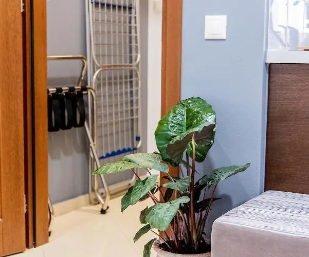 Apartment Pan Of Kea *